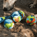 Kit de Bolas para Cachorro Chuckit - EcoFetch Edição Limitada - New York Pets