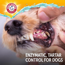 Kit Higiene Bucal Arm & Hammer - Pasta Enzimática, Escova e Dedeira (Sabor Frango) - New York Pets