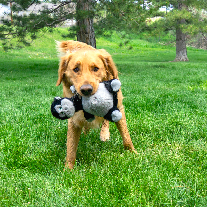 Kong Knots Belly Gorilla – Pelucia para Cachorro