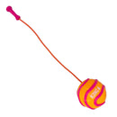 KONG Bunji High - Viz Ball Assorted – Bola para Cachorro - New York Pets