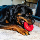 KONG Donut - Brinquedo de Borracha Natural Resistente para Cães - New York Pets