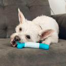 KONG Duets Dental Stick – Brinquedo Mordedor Dental para Cães - New York Pets