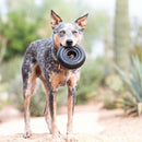 KONG Extreme Donut - Brinquedo Ultra Resistente para Mordidas Fortes - New York Pets