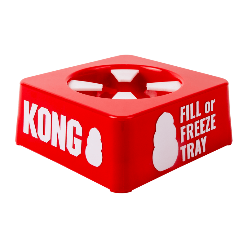 KONG Fill or Freeze Tray – Bandeja para Preencher e Congelar KONGs - New York Pets
