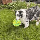 KONG Flexball Sport – Brinquedo Interativo para Cães com Mordida Moderada - New York Pets