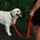 KONG Guia Refletivo Ajustável 2 Metros - New York Pets