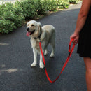 KONG Guia Refletivo Ajustável 2 Metros - New York Pets