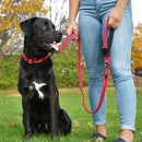 Kong Guia Traffic Leash 1 - New York Pets