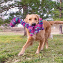 Kong Honkers Shakers Dragão com apito para cachorro - New York Pets