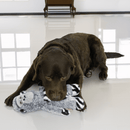 KONG Jungle Jamz Gorilla – Brinquedo Sonoro e Interativo para Cães - New York Pets