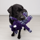 KONG Jungle Jamz Rhino – Brinquedo Sonoro e Interativo para Cães - New York Pets