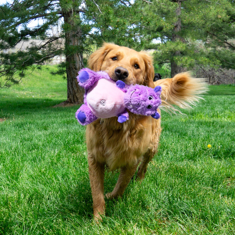 Kong Knots Belly Hippo – Pelucia com Corda para Cachorro