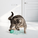 Kong Ovos com Catnip para Gato - New York Pets