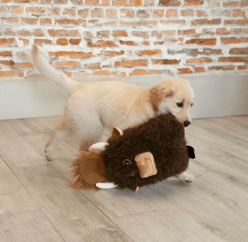 KONG Pelucia Comfort Jumbo Vaca Highland - New York Pets