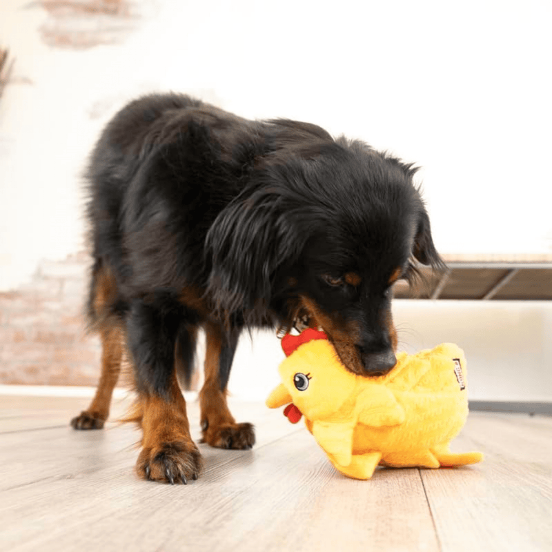 KONG Pelúcia Layerz Forage – Pelúcia Galinha para Cachorro - New York Pets