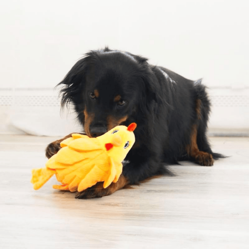KONG Pelúcia Layerz Forage – Pelúcia Galinha para Cachorro - New York Pets