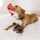 Kong Pull - a - Partz Pals Urso Medio Pelúcia para Cachorro - New York Pets