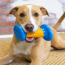 Kong Rambler Rattlez Dumbell Grande Brinquedo para Cachorro - New York Pets