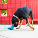 Kong Rewards Tipsy Brinquedo Dispensador de Petiscos para Cães - New York Pets