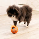 Kong Rewards Tipsy Brinquedo Dispensador de Petiscos para Cães - New York Pets