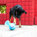 Kong Rewards Tipsy Brinquedo Dispensador de Petiscos para Cães - New York Pets