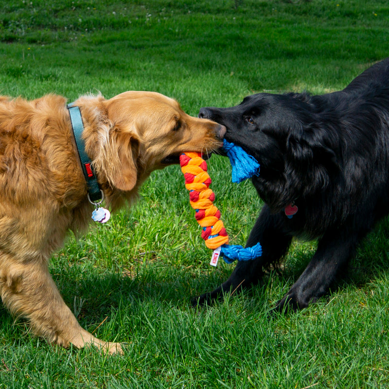 Kong Rope Rally Stick- Cabo de Guerra para Cachorro