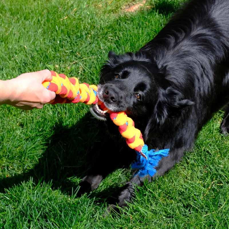 Kong Rope Rally Tug – Cabo de guerra para Cachorro