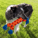 Kong Rope Rally Bone – Cabo de guerra para Cachorro - New York Pets