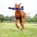 Kong Scrubz cabo de guerra para Cachorro Rogz - New York Pets