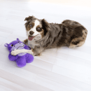 KONG Snuzzles Hipopotamo – Brinquedo Extra Grande e Macio para Cães - New York Pets