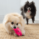 Kong Snuzzles Mini Pelucia com apito alto para cachorro - New York Pets