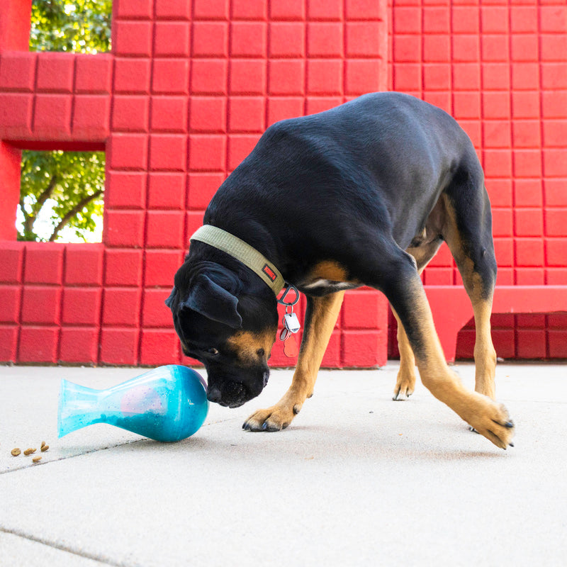 Kong Rewards Tipsy  Brinquedo Dispensador de Petiscos para Cães