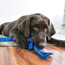 Kong Tugga Wubba Brinquedo para Cachorro - New York Pets