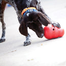 Kong Wobbler João Bobo Recheável para Cães - New York Pets