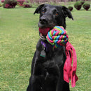 Kong Wubba Weaves Brinquedo para Cachorro - New York Pets