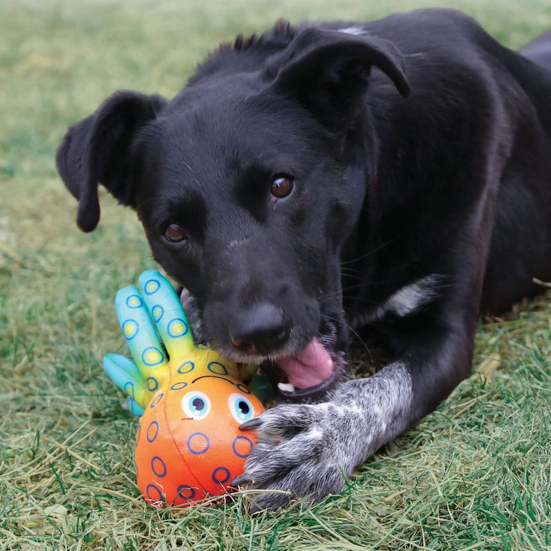 Pelucia Kong Shieldz Tropics Octopus para Cachorro