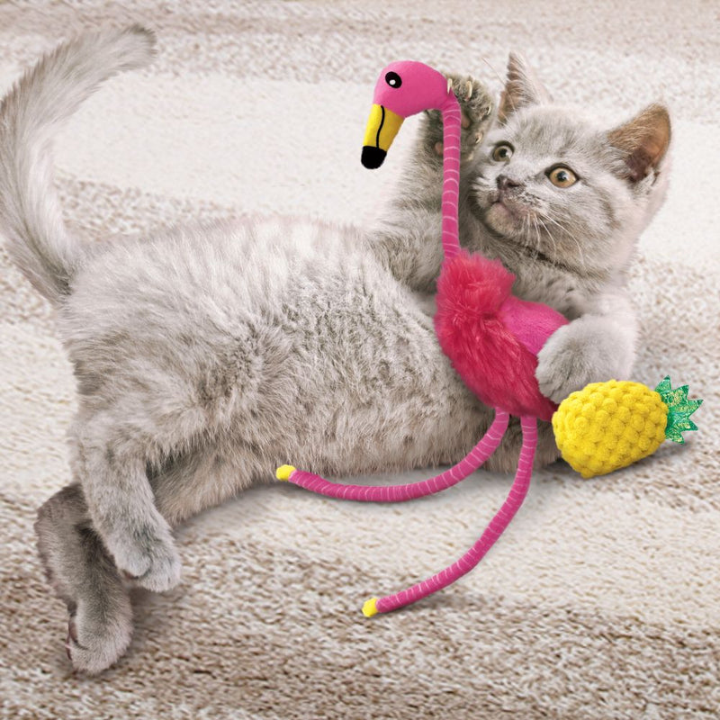 gato brincando com kong tropics flamingo