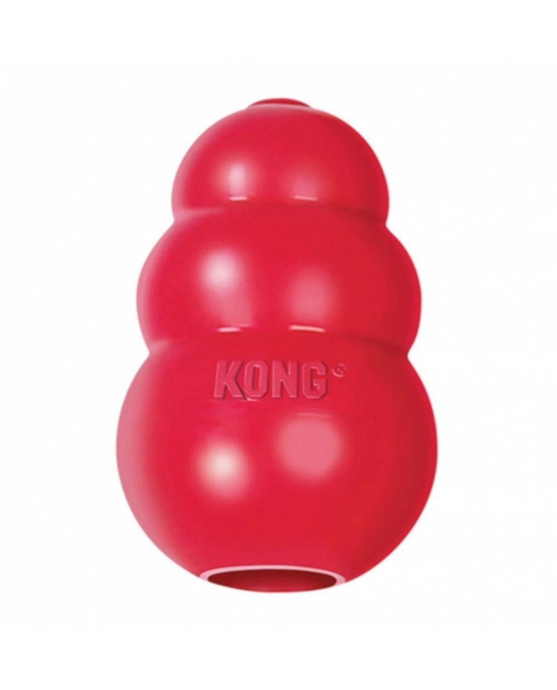 Kong + Pluggy -- Kit Exclusivo da New York Pets