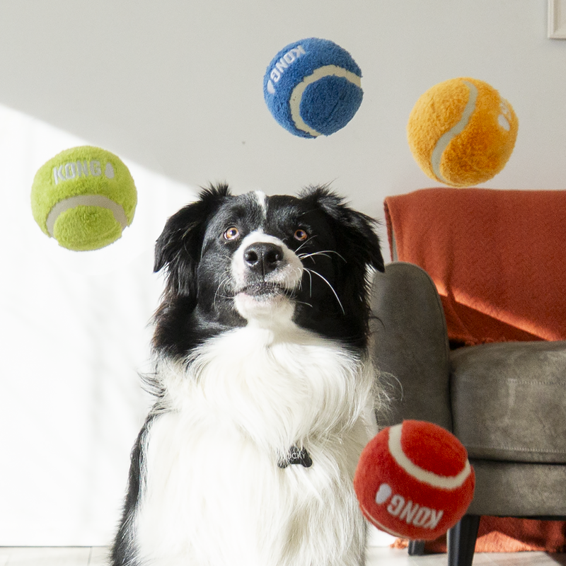 Kong Sport Softies Balls Assorted para cachorro