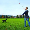 Lançador Confetti Launcher Chuckit! Exclusivo Edição Limitada - New York Pets