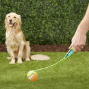 Lançador de Bolas Chuckit para Cães Classic - New York Pets