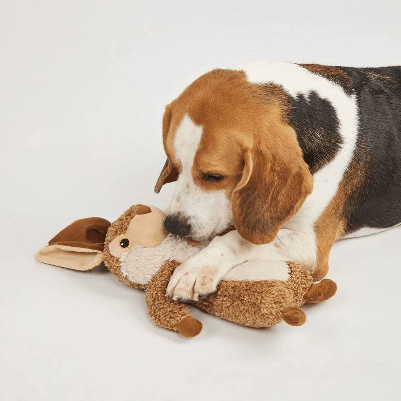 Lebre Reino Selvagem FOFOS Petta – Pelúcia para cachorro com Som - New York Pets