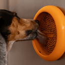 LickiMat Ufo Comedouro e Tapete de Lamber com Ventosa - New York Pets