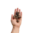 Meat Balls de Carne Petisco Natural Luv - New York Pets