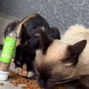 Mini Cat Lambe - Lambe (Pulmão Bovino Desidratado e Catnip) - AlecrimPet - New York Pets