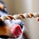 Mix Natuka Puppy Mordedor Natura Para Filhotes - New York Pets