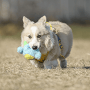 Monstro Cyclope 2 em 1 Qmonster – Pelúcia com Bola Interna - New York Pets