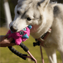 Monstro Gen One 2 em 1 Petta – Brinquedo Interativo de Pelúcia com Bola Interna - New York Pets