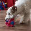 Monstro Gen One 2 em 1 Petta – Brinquedo Interativo de Pelúcia com Bola Interna - New York Pets