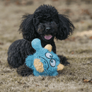 Monstro Gen One 2 em 1 Petta – Brinquedo Interativo de Pelúcia com Bola Interna - New York Pets